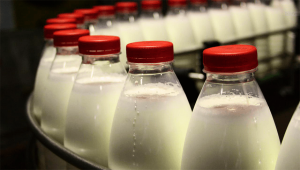 Единого рынка не вышло: РФ не хочет пускать к себе белорусскую «молочку»