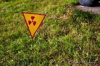 Беларусь предлагает странам СНГ новые направления сотрудничества по проблеме радиоактивного загрязнения лесов