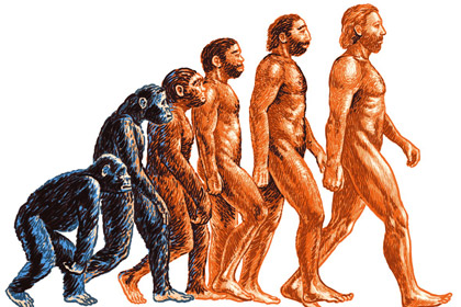 Треть американцев отвергла эволюцию человека