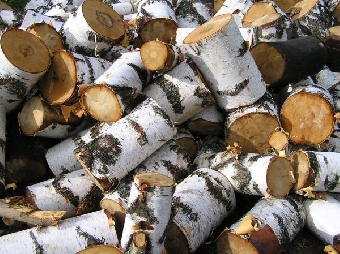 В Беларуси к отопительному сезону заготовлено 888 тыс.плотных куб.м древесного топлива