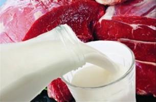 Беларусь может заработать 2 млрд долларов на молоке и мясе до конца года