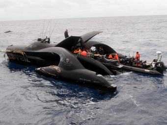 Экологов обвинили в инсценировке потопления тримарана китобоями