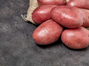 Минсельхозпрод: Беларусь полностью обеспечивает себя картофелем