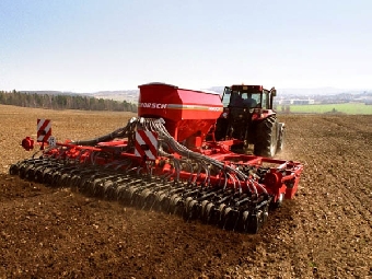 Новые сорта зерновых культур разрабатывают в Беларуси