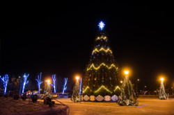 Хулиганы спилили новогоднюю ель у Дворца культуры в Мозыре