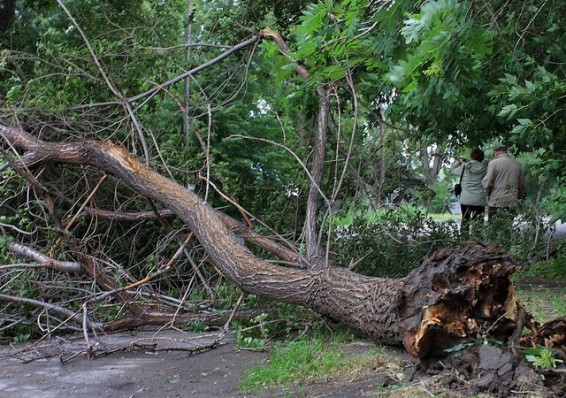 Ураган, прошедший по Беларуси 29 июня, обесточил сотни населенных пунктов