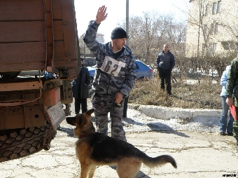 Команда ГТК Беларуси заняла второе место на соревнованиях кинологов таможенных служб СНГ