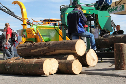 «Модернизация» деревообработки обошлась Беларуси в ?1 миллиард