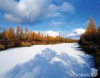 Хозяйства Витебской области засеяли озимыми зерновыми более половины планируемых площадей