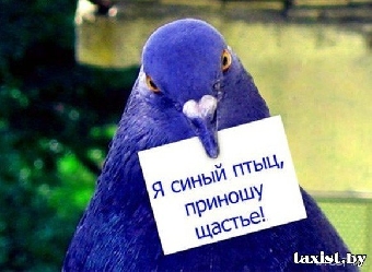 Объем сдачи валюты в обменных пунктах Гомеля практически достиг уровня начала года