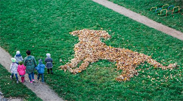 В Гродно создали картины из опавших листьев