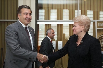 Саакашвили разделяет критическое мнение президента Литвы о белорусской оппозиции