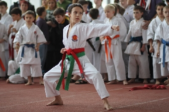 Седьмой открытый чемпионат Минска по каратэ Sanker Cup-2011 пройдет в Футбольном манеже