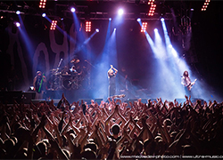 В Минске выступят Korn и Soulfly