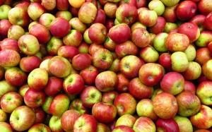 Беларусь: запрет на ввоз яблок и груш в РФ - надуманный