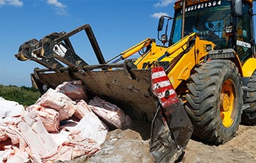 В РФ задержали две тонны говядины из Беларуси
