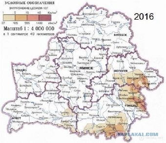 Японцы ознакомятся с опытом Беларуси по ликвидации последствий радиоактивного загрязнения