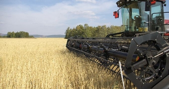 Сельхозорганизации Беларуси завершили уборку картофеля и заготовку травяных кормов