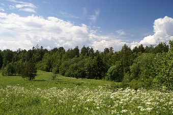 В предстоящие выходные в Беларуси будет тепло и солнечно