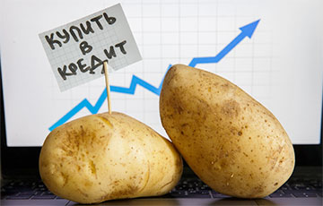 Картофель подорожал на 40%: как изменились цены на продукты, которые власти сдерживают