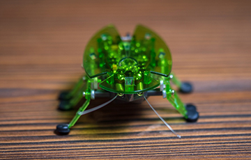 Американские инженеры разработали космических роботов размером с насекомое