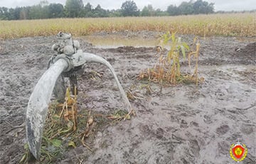 Под Брестом на кукурузном поле нашли разбившийся самолет