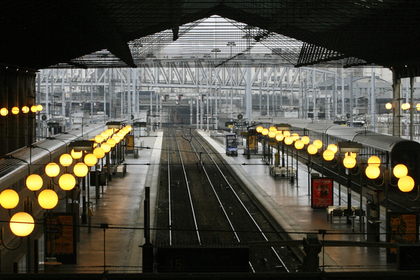 Северный вокзал Парижа эвакуировали из-за голубя