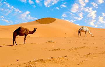 Каждые 21 тысячу лет Сахара превращается в цветущий оазис