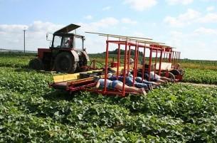 Белорусские аграрии провалили 2013 год