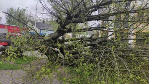 Последствия сильного ветра 3 мая: нарушенное электроснабжение, поврежденные машины и крыши