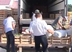 СТВ: Россияне фурами скупают белорусские огурцы