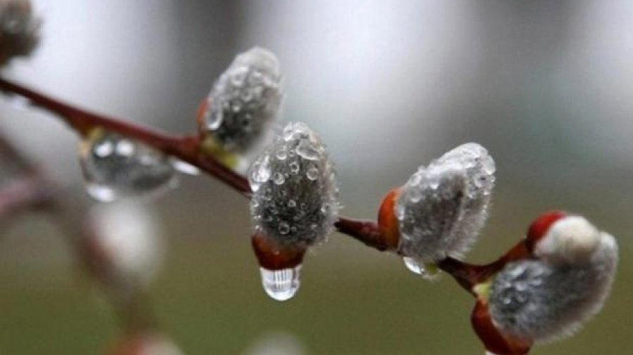 Погода не радует: к концу недели в Беларуси ожидается существенное похолодание
