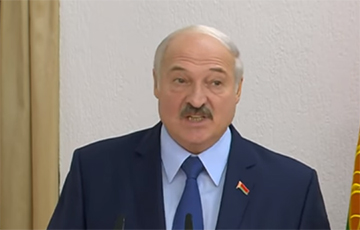 Лукашенко: На одной должности человек зарастает тиной и никакими конечностями уже не шевелит