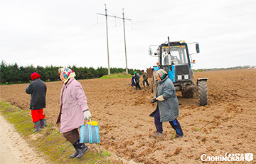 В Зельвенском районе пенсионеры собирают камни, чтобы прожить