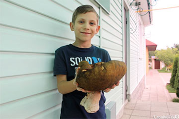 Фотофакт: Школьник из Слонима нашел боровик-великан весом 600 граммов