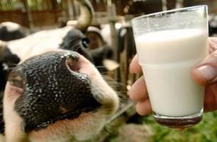Врач: Молочные продукты не такие безопасные, как все привыкли считать