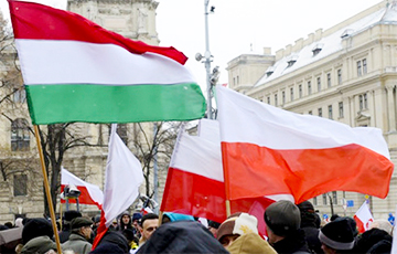 Польша и Венгрия создадут институт дружбы