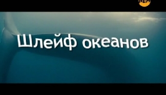 Фильм "Отсутствующий" аргентинского режиссера вызвал у гостей "Лістапада-2011" много вопросов