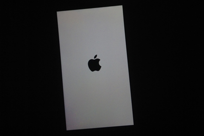 Apple ответила на жалобы про «экран смерти» в iPhone