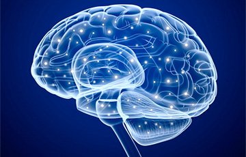 Медики назвали самый эффективный способ улучшения работы мозга