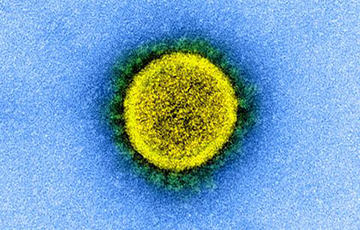 Врачи выявили самые уязвимые для коронавируса клетки человека