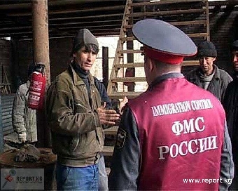 Совместную профилактическую операцию планируют миграционные службы Витебской и Псковской областей