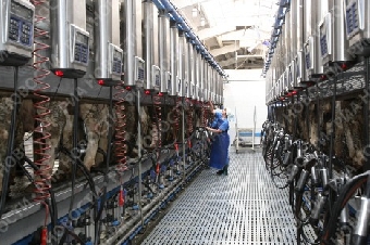 Беларусь поможет создавать во Вьетнаме молочно-товарные комплексы