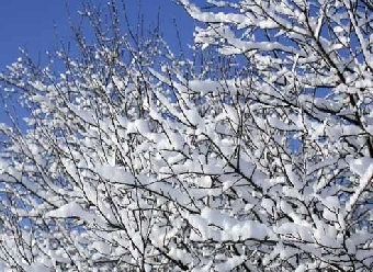 Прогноз погоды на 3 декабря