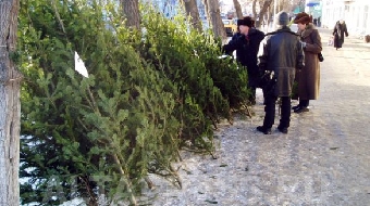 Гослесохрана начинает усиленное патрулирование лесов накануне новогодних праздников
