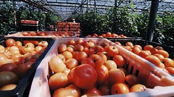 Участники инновационного консорциума Беларуси и Казахстана в 2012 году выполнят проекты на $1,5 млн.