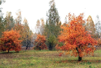 Система комплексных природоохранных разрешений внедряется в Беларуси
