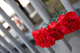 К посольству Чехии в Минске несут цветы и свечи