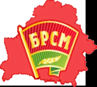 Белорусские благотворительные фонды должны объединиться в союз - эксперты