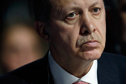 Эрдоган выступил за создание зон безопасности в Сирии